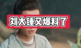 刘大锤爆料苏醒了吗视频,苏醒了吗视频幕后真相曝光